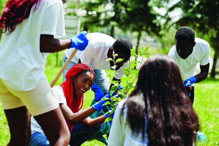 Volunteers planting trees together as part of an environmental programme