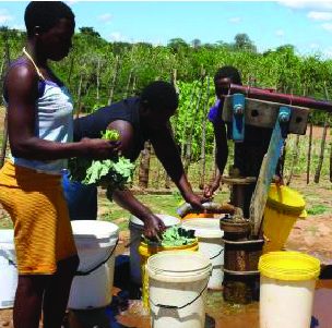 Women supporting each other at a community borehole and garden